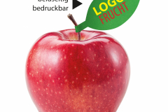 Fresh red apple isolated on white. With clipping path