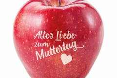 Fresh red apple isolated on white. With clipping path