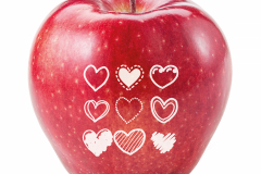 Fresh red apple isolated on white. With clipping path