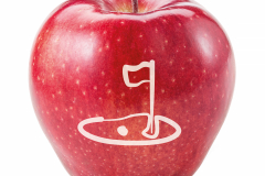 Fresh red apple isolated on white. With clipping path