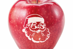 Fresh red apple isolated on white. With clipping path