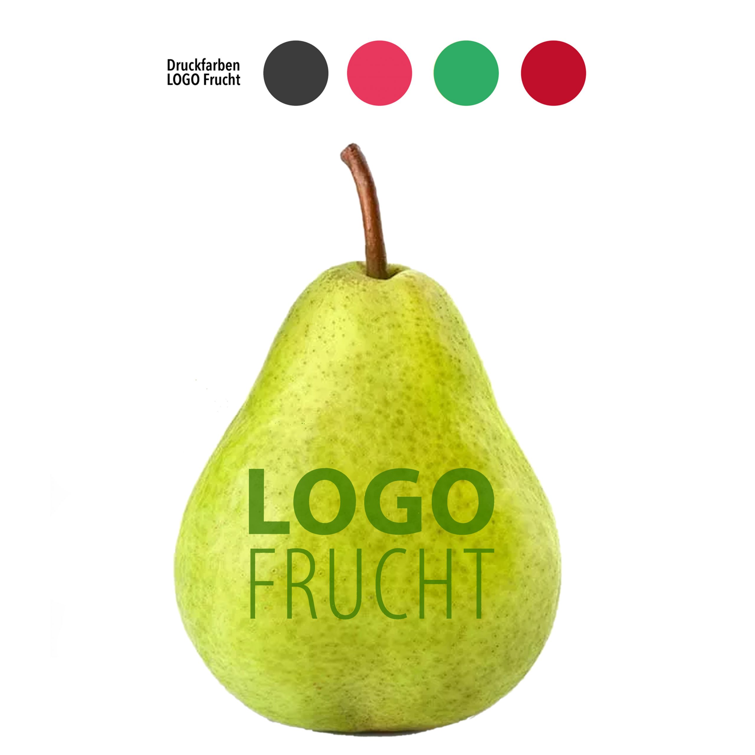 LogoFrucht Birne