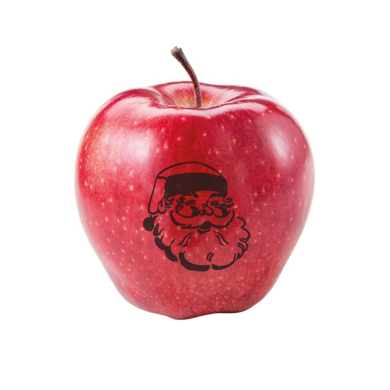 LogoFrucht Apfel Nikolaus