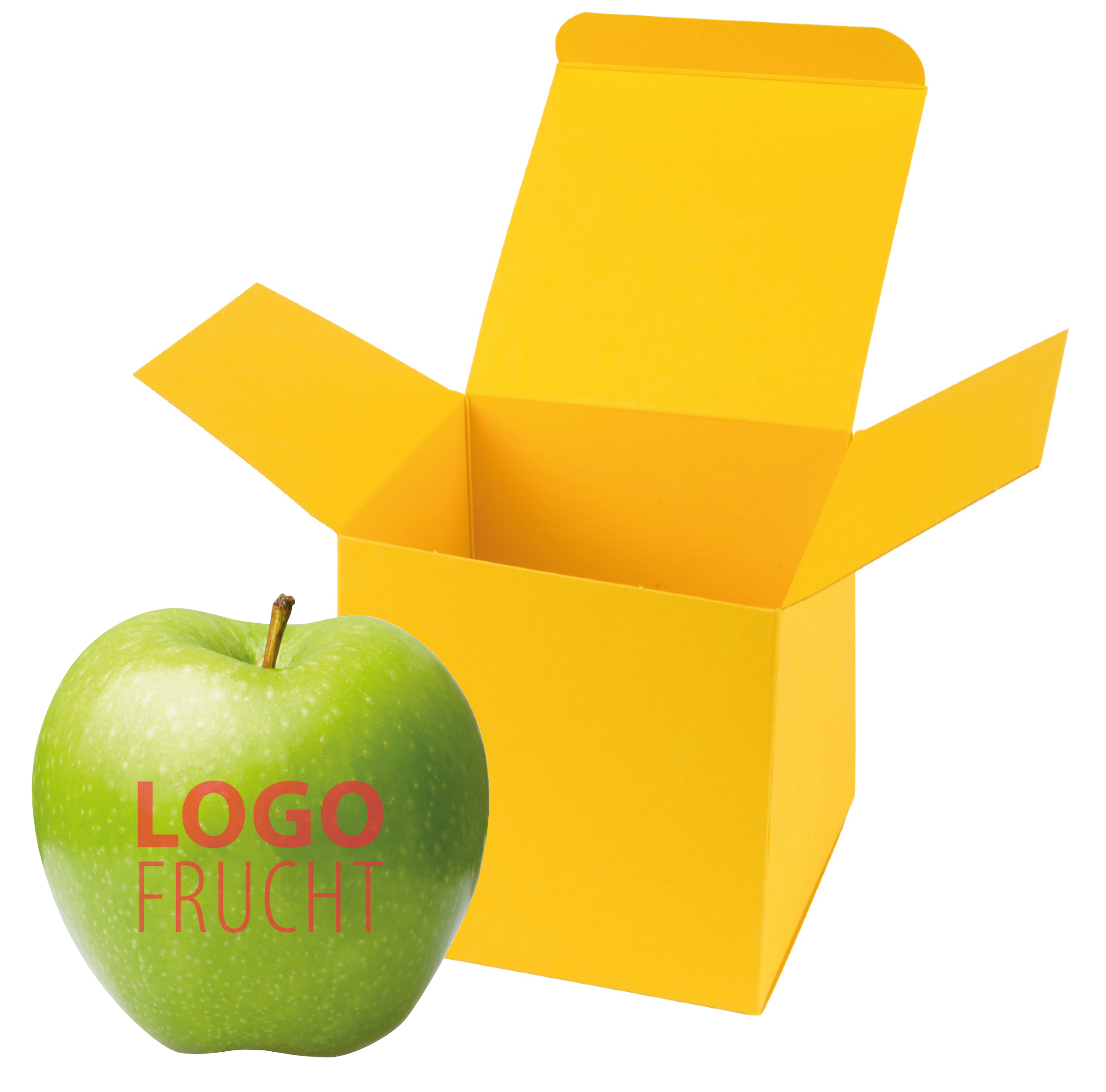 LogoFrucht Apfel grün ColorBox